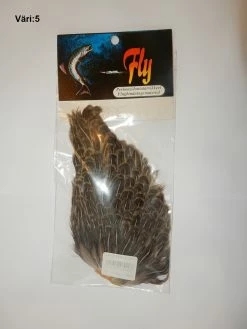 Fly -Intialainen Kanan Satula -Halpa Perhonsidonta kauppa DSCN7849