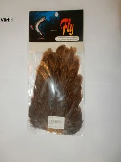 Fly -Intialainen Kanan Satula