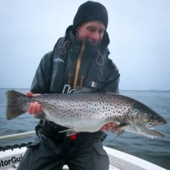 Vision Meri -perhovavat -Halpa Perhonsidonta kauppa IMG 0649 600x600 1