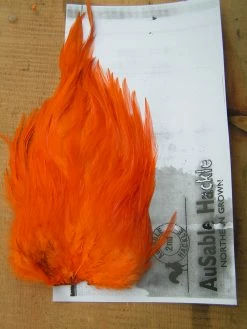 Ausable Hackle 2nd Grade -pintaperhosatula,väri:Oranssi