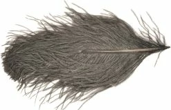 Silvergrey Strutsin Höyhen