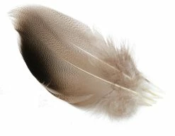 Veniard Mallard Bronze