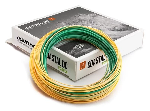 Guideline Coastal Evolve -perhosiima 3 Guideline Coastal Evolve -perhosiima