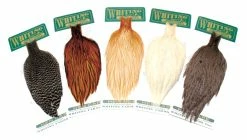 Whiting Hebert Hen Cape