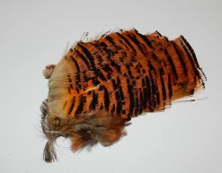 Fly Kultafasaanin Tippet