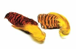 FTS Kultafasaanin Pää