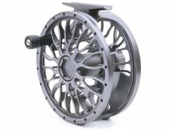 XO #10/12 -perhokela