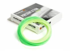 Guideline Presentation Evolve WF -perhosiima