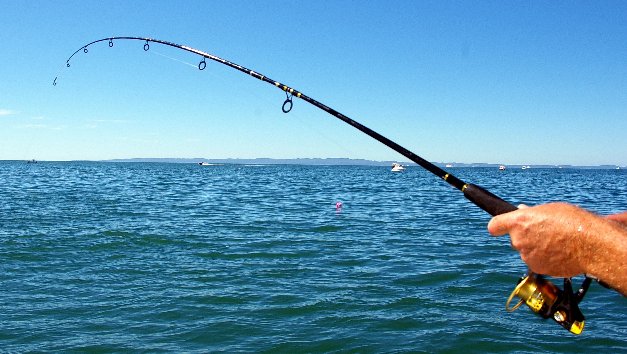 Edessä -Halpa Perhonsidonta kauppa fishing